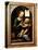 'Madonna with a Flower', (Madonna Benois), 1478-Leonardo Da Vinci-Premier Image Canvas