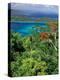 Magens Bay, St. Thomas, Caribbean-Robin Hill-Premier Image Canvas