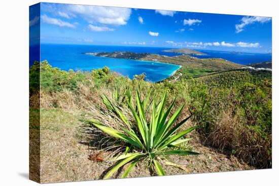 Magens Bay View, St Thomas, USVI-George Oze-Premier Image Canvas