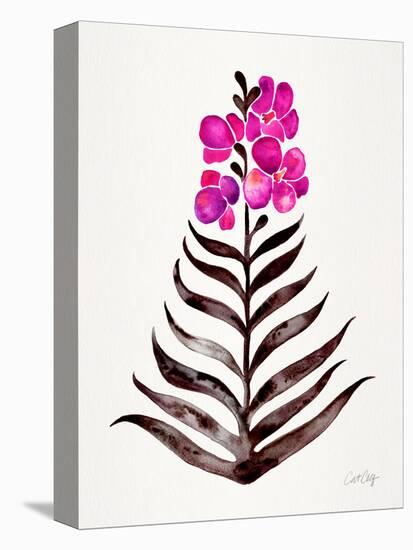 Magenta Black Orchid Bloom-Cat Coquillette-Premier Image Canvas