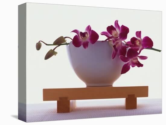 Magenta Orchids in White Bowl-Colin Anderson-Premier Image Canvas