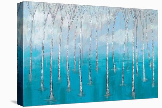 Magic Marshes-Herb Dickinson-Premier Image Canvas