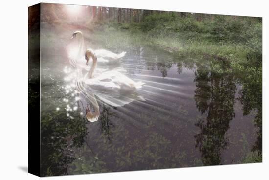 Magic Swan-Steve Hunziker-Stretched Canvas