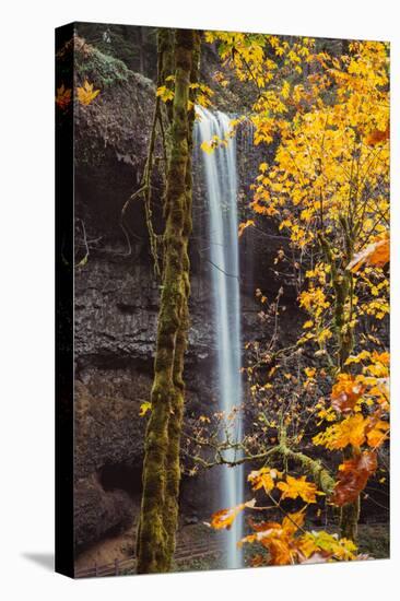 Magical Autumn at South Falls, Silver Falls State Park, Oregon-Vincent James-Premier Image Canvas
