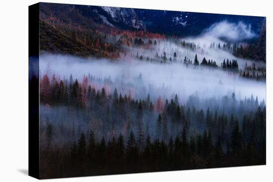 Magical Flow Mesmer Fog & Light Trees Sark Yosemite Winter Storm Valley-Vincent James-Premier Image Canvas