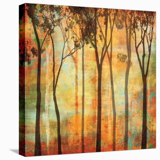 Magical Forest I-Chris Donovan-Stretched Canvas