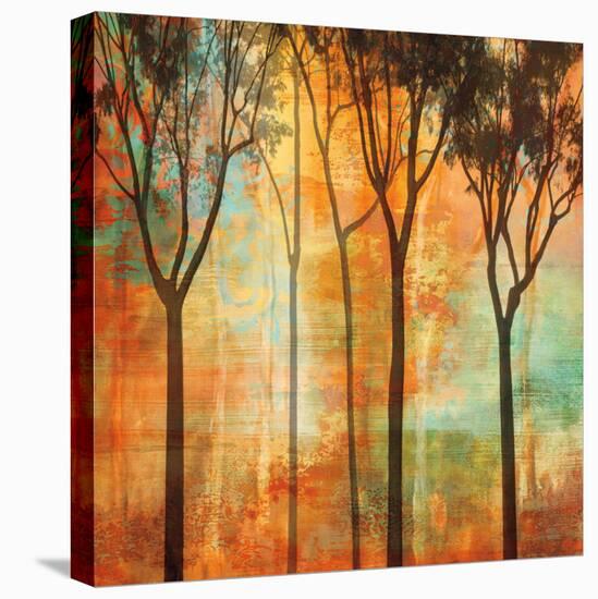 Magical Forest II-Chris Donovan-Stretched Canvas