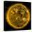 Magnetic Field Lines on the Sun-Stocktrek Images-Premier Image Canvas