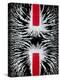 Magnetic Repulsion-Cordelia Molloy-Premier Image Canvas