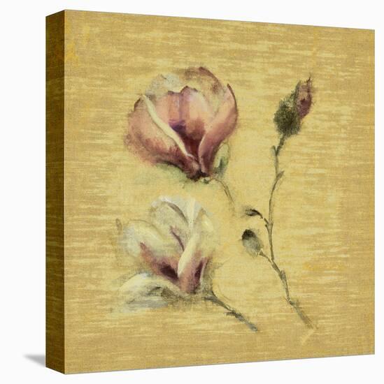 Magnolia Blossom on Gold-Cheri Blum-Stretched Canvas