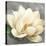 Magnolia Blossom on Gray-Albena Hristova-Stretched Canvas