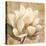 Magnolia Blossom on Script-Albena Hristova-Stretched Canvas