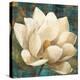 Magnolia Blossom Turquoise-Albena Hristova-Stretched Canvas