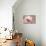 Magnolia Blossom-Jessica Jenney-Premier Image Canvas displayed on a wall