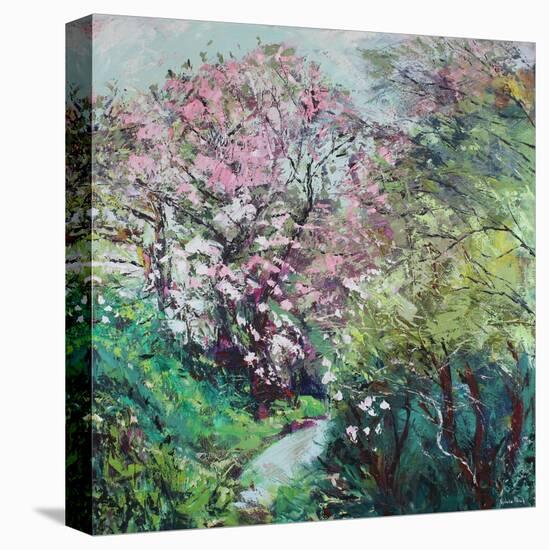 Magnolia Blossom-Sylvia Paul-Premier Image Canvas