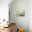 Magnolia Branch II-Avril Anouilh-Stretched Canvas displayed on a wall