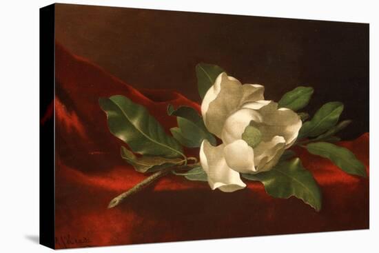 Magnolia, C.1885-95-Martin Johnson Heade-Premier Image Canvas