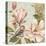 Magnolia Collage II-Pamela Gladding-Stretched Canvas