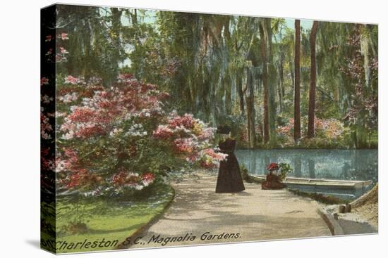 Magnolia Gardens, Charleston, South Carolina-null-Stretched Canvas