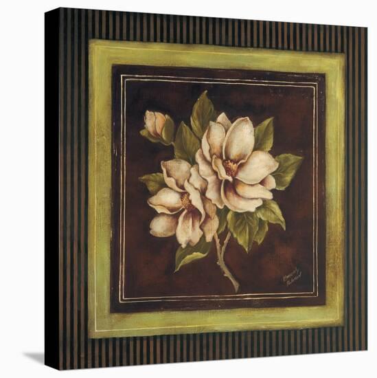 Magnolia I-Kimberly Poloson-Stretched Canvas