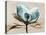 Magnolia I-Albert Koetsier-Stretched Canvas
