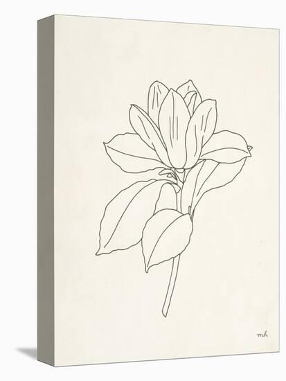 Magnolia Line Drawing-Moira Hershey-Stretched Canvas