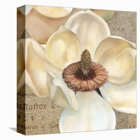 Magnolia Masterpiece I-Louise Montillio-Stretched Canvas