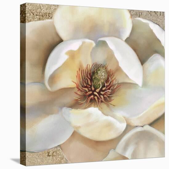 Magnolia Masterpiece II-Louise Montillio-Stretched Canvas