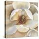 Magnolia Masterpiece II-Louise Montillio-Stretched Canvas