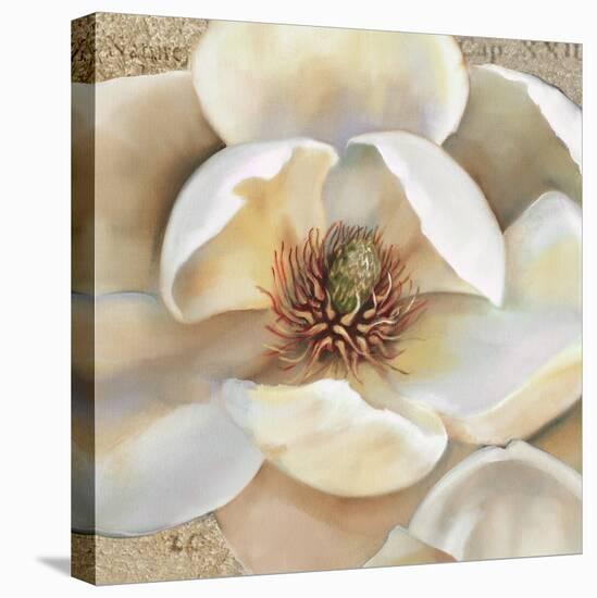 Magnolia Masterpiece II-Louise Montillio-Stretched Canvas