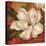 Magnolia on Red II-Pamela Gladding-Stretched Canvas