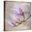 Magnolia on Silver Leaf I-Patricia Pinto-Stretched Canvas