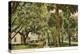 Magnolia Street, Daytona, Florida-null-Stretched Canvas