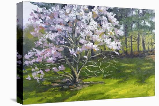 Magnolia-Rusty Frentner-Premier Image Canvas