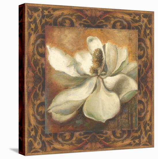 Magnolia-Patricia Pinto-Stretched Canvas