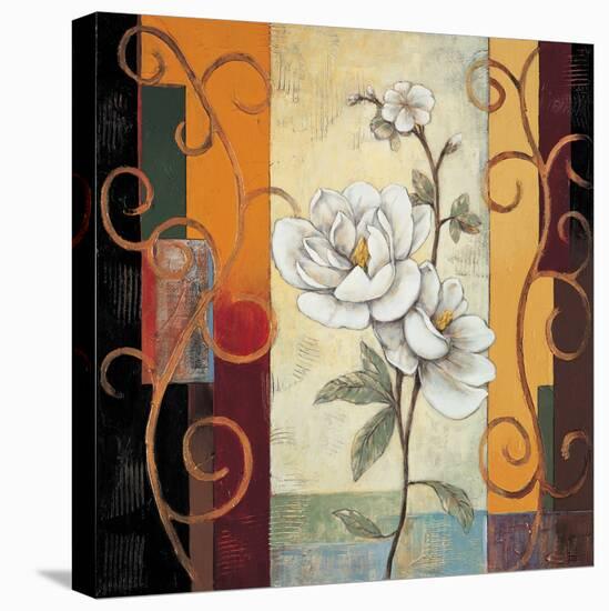 Magnolia-Jill Deveraux-Stretched Canvas