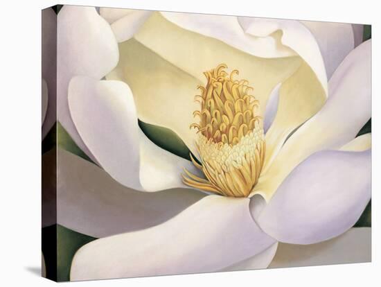 Magnolia-Virginia Huntington-Stretched Canvas