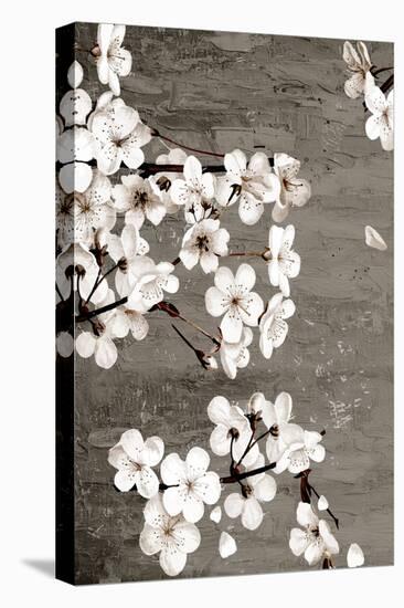 Magnolias 2-Kimberly Allen-Stretched Canvas