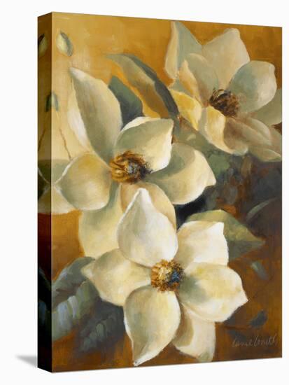 Magnolias Aglow at Sunset II-Lanie Loreth-Stretched Canvas