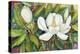Magnolias in their Prime-Joanne Porter-Premier Image Canvas