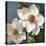 Magnolias on Blue II-Lanie Loreth-Stretched Canvas