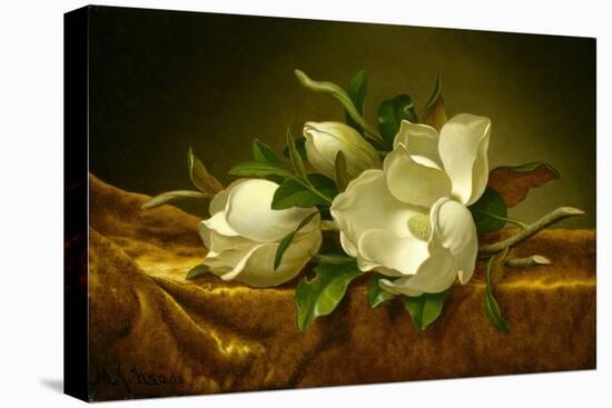 Magnolias on Gold Velvet Cloth, C.1888-90 (Oil on Canvas)-Martin Johnson Heade-Premier Image Canvas