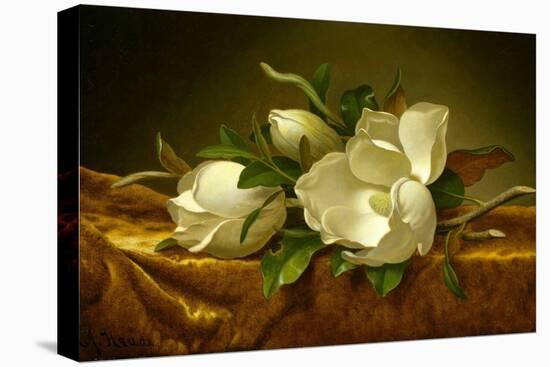 Magnolias on Gold Velvet Cloth-Martin Johnson Heade-Premier Image Canvas