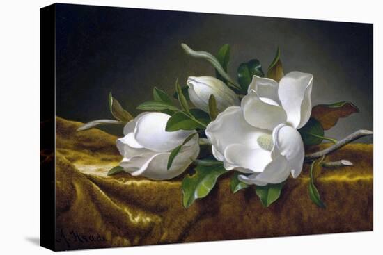 Magnolias on Gold Velvet Cloth-Martin Johnson Heade-Premier Image Canvas