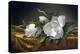 Magnolias on Gold Velvet Cloth-Martin Johnson Heade-Premier Image Canvas