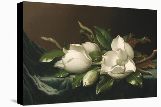 Magnolias on Light Blue Velvet Cloth, 1885/95-Martin Johnson Heade-Premier Image Canvas