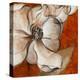 Magnolias with Spice-Lanie Loreth-Stretched Canvas