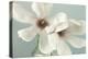 Magnolias-Assaf Frank-Stretched Canvas