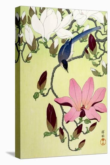 Magpie with Pink and White Magnolia Blossoms-Koson Ohara-Premier Image Canvas