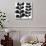 Maidenhair (black on white)-Denise Duplock-Stretched Canvas displayed on a wall